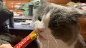 娱乐吃瓜喵喵喵,揭秘娱乐圈那些不为人知的幕后故事